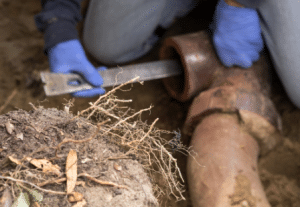 Signs You Need A Trenchless Sewer Line Repair Point Loma San Diego
